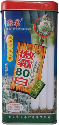 极品大葱--傲霜80白